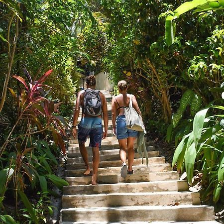 Funky Monkey Lodge Playa Santa Teresa  Exterior photo