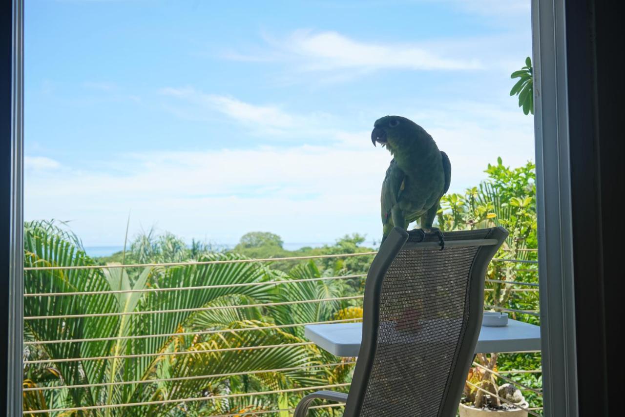 Funky Monkey Lodge Playa Santa Teresa  Exterior photo