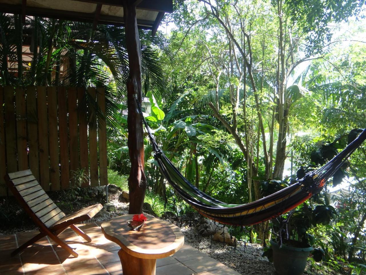 Funky Monkey Lodge Playa Santa Teresa  Exterior photo